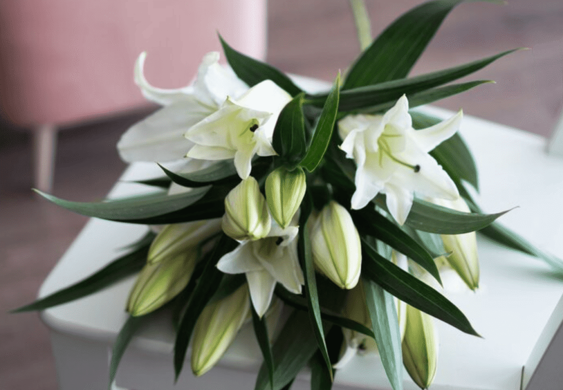 Какие цветы подарить маме на День рождения: полный гид от флористов Romeo Flowers 7 Нежный букет из белых альстромерий от Romeo Flowers с доставкой в Минске