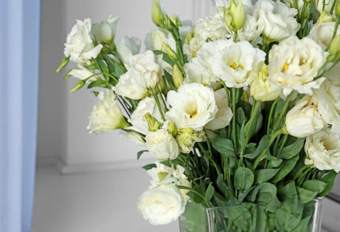 Какие цветы подарить маме на День рождения: полный гид от флористов Romeo Flowers 8 Нежный букет из белых эустом от Romeo Flowers с доставкой в Минске
