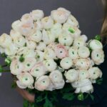Кустовые розы
